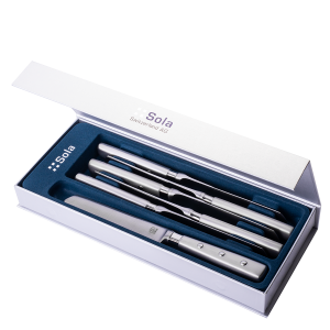 Steakové nože v magnetickém boxu set 6 ks – Bistro