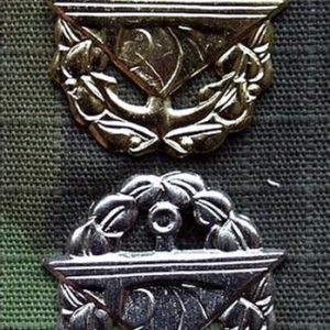 Značení: Znak rozlišovací – silniční vojsko zlatý