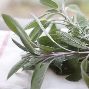 Bio voda ze Šalvěje lékařské Salvia officinalis 1 l