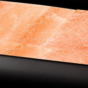 Dry-Ager DX 500 – Sada 2 himalájských solných desek