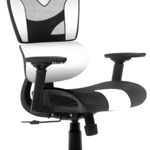 Huzaro Herní židle Combat 8.0