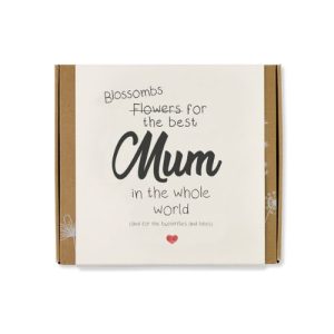 Semínkové bomby – dárková sada střední "Pro nejlepší maminku" Blossombs 9ks