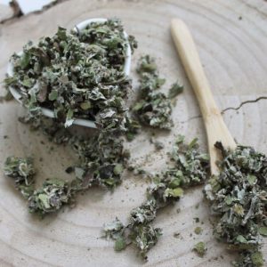 Podběl lékařský – list nařezaný – Tussilago farfara – Folium farfarae 1000 g