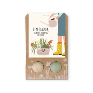 Semínkové bomby – drobný dárek pro učitele Květy Blossombs 2ks