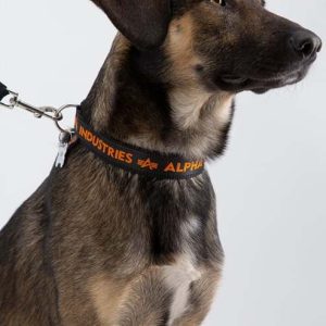 Alpha Industries Obojek AI Dog-Tag Collar černá | oranžová L