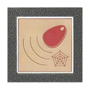 4FN 231 25.2/C – BES KARAT čtečka RFID, bez Z, bez OPJ, stříbr.