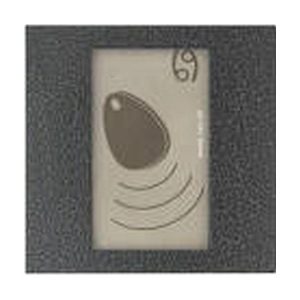 4FN 231 25.2/M – RAK BES KARAT čtečka RFID, bez Z, s OPJ, USB, stříbr.