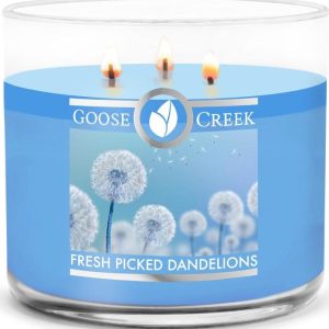 Goose Creek – Právě utržené pampelišky Aromatická svíčka ve skle 411 g