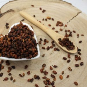 Rakytník řešetlákový – plod celý – Hippophae rhamnoides – Fructus hippophae 1000 g