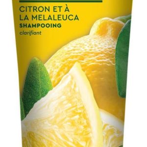 Desert Essence Šampon pro mastné vlasy lemon tea tree 237 ml