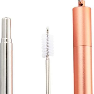 Naturalis Nerezové teleskopické brčko s kartáčkem 1 ks