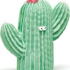 Lanco Kaktus obličej 1 ks