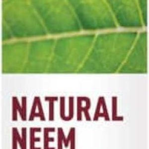 Desert Essence Zubní pasta NEEM, skořice a máta 176 g