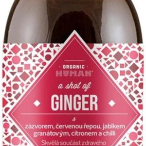 ORGANIC HUMAN Ginger SHOT BIO 100 ml
