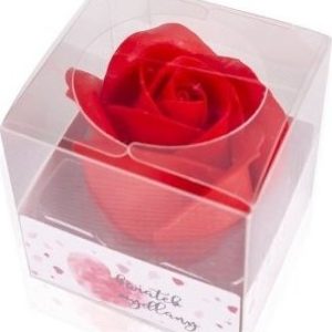 Accentra – Mýdlový květ růže Mýdlový květ růže 7g