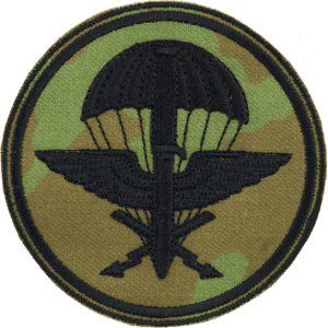 Nášivka: 11. průzkumný prapor [bsz] vz. 95 zelený