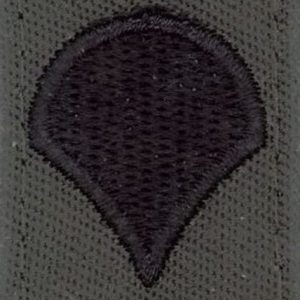 Nášivka: Hodnost US ARMY límcová Specialist olivová | černá