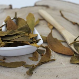 Jmelí bílé – nať nařezaná – Viscum album – Herba visci albi 1000 g