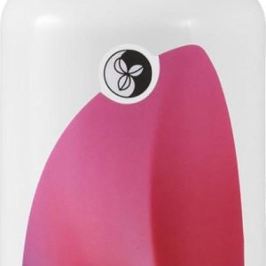 Martina Gebhardt Ginseng ženšenové tonikum 100 ml