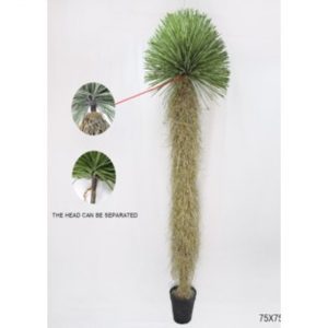 KARE Design Dekorativní rostlina Yucca Rostrata 240cm