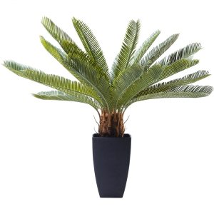 KARE Design Dekorativní rostlina Cycas Tree 78 cm