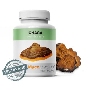 Chaga v optimální koncentraci MycoMedica 90 rostlinných kapslí