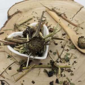 Třapatkovka nachová – nať celá – Echinacea purpurea – Herba echinaceae 1000 g