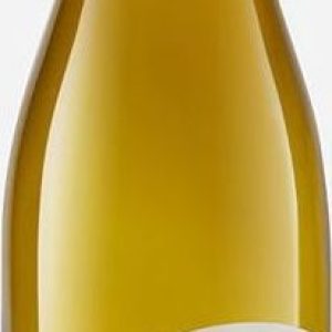 Familia Schroeder Chardonnay Saurus