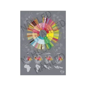 Beanie Chuťové kolo – plakát A4