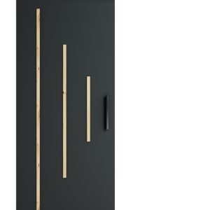 Abika Posuvné dveře 90 London Y  90/204/ krycí lišta 200/12/7