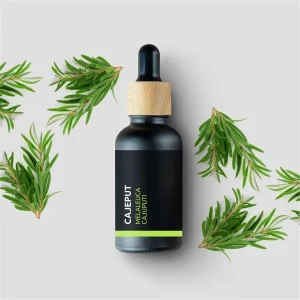 Cajeput – 100% přírodní esenciální olej 10 ml