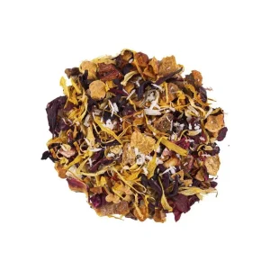 Coconut Caribbean Dream ORGANIC – ovocný čaj Balení 70g