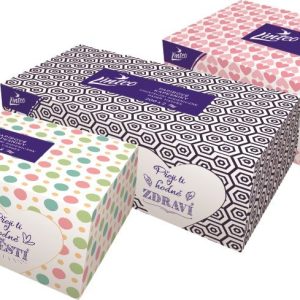 Papírové kapesníky Linteo, bílé, 2-vrstvé, 200 ks