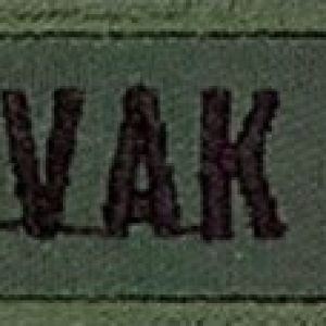 Nášivka: SLOVAK REPUBLIC obdélníková s vlajkou olivová | černá