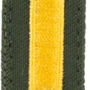 Nášivka: Hodnost US ARMY límcová 2nd Lieutenant olivová | žlutá