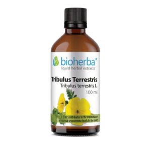 Tribulus terrestris tinktura Bioherba 100ml