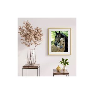 Diamantová mozaiková výšivka, Koně, 5 rozměrů, 30×40 cm, pestrobarevná