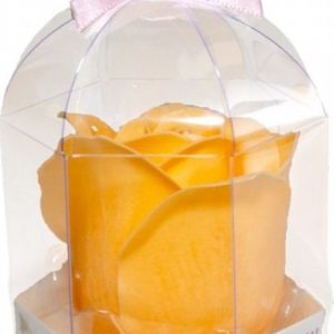 Accentra – Mýdlový květ žluté růže v dárkovém boxu Mýdlový květ růže 5 g