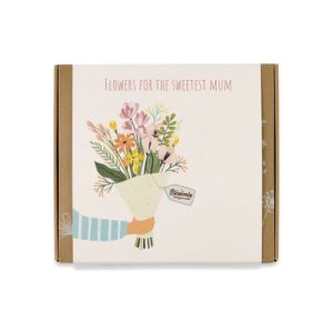 Semínkové bomby – dárková sada střední "Pro nejlepší maminku" Kytice Blossombs 9ks