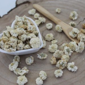Heřmánek římský – květ – Anthemis nobilis – Flos chamomillae romanae 1000 g