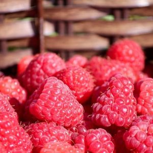 Přírodní voda Malina Rubus idaeus – list 1 l