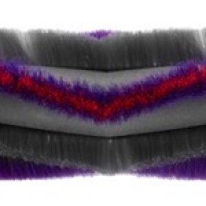 Kartáč pro robotický vysavač ETA Aurum