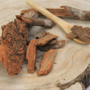 Chinovník lékařský – kůra celá – Cinchona officinalis – Cinchonae cortex 50 g