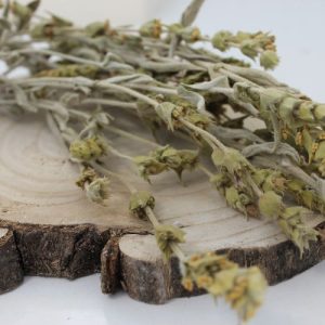Mursalský čaj, hojník horský  – nať – Sideritis scardica – Herba sideritis scardica 1000 g