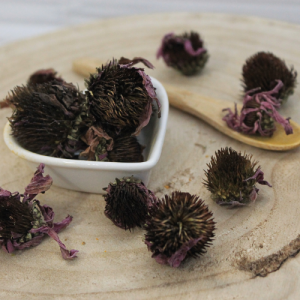 Třapatka nachová – květ celý – Echinacea purpurea – Flos echinaceae 1000 g