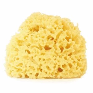 Mořská tráva mega houbička EatGreen 1ks