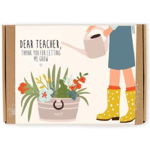 Semínkové bomby – dárková sada pro učitele menší Květiny Blossombs 7ks