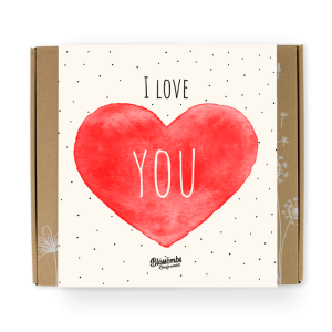 Semínkové bomby – dárková sada střední "Miluji tě" Blossombs 9ks