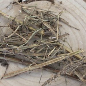 Šalvěj muškátová – nať celá – Salvia sclarea – Folium salvia sclareae 50 g