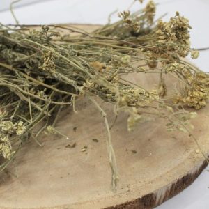Řebříček obecný – květ celý – Achillea millefolium – Flos millefolii 1000 g